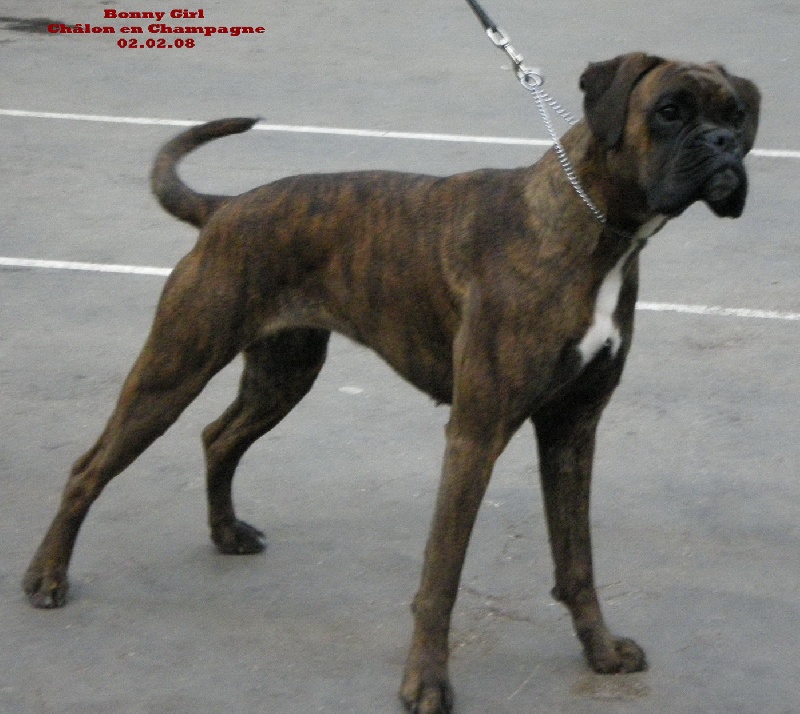 Bonny girl des Tendres Rebels